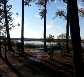 Dougherty Creek at Janes Island