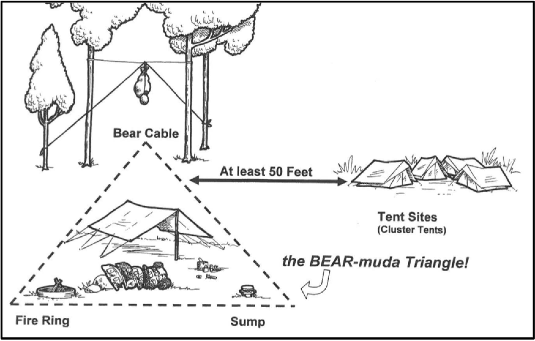 Bear-mudaTriangle