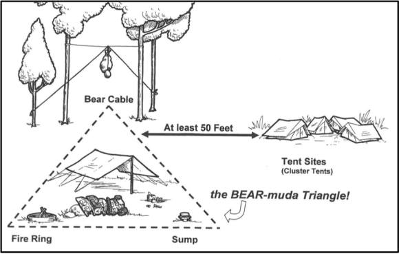 Bear-mudaTriangle